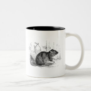 Caneca De Café Em Dois Tons Ilustração dos ratos do rato do celeiro de Brown