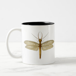 Caneca De Café Em Dois Tons Ilustração Vintage Eastern Dobsonfly Dragonfly