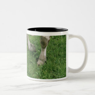 Caneca De Café Em Dois Tons ima28991