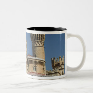 Caneca De Café Em Dois Tons ÍNDIA, Karnataka, Bangalore: Palácio de Bangalor