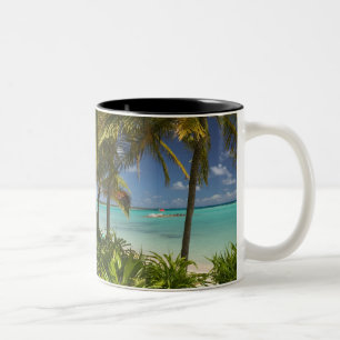 Caneca De Café Em Dois Tons Índias Ocidentais Francesas, Guadeloupe, Grande Te