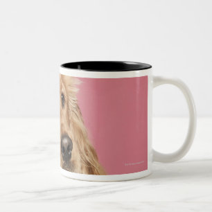 Caneca De Café Em Dois Tons Inglês cocker spaniel (10 meses velho)