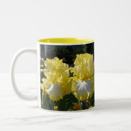 Caneca De Café Em Dois Tons Íris Íris Iris Irises Flores Amarelas Flores