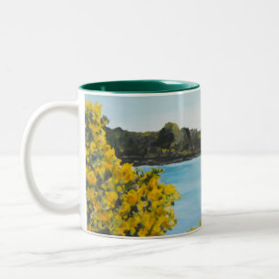 Caneca De Café Em Dois Tons Irish Mug Coffee Cup Ireland Lough Dan, Irlanda