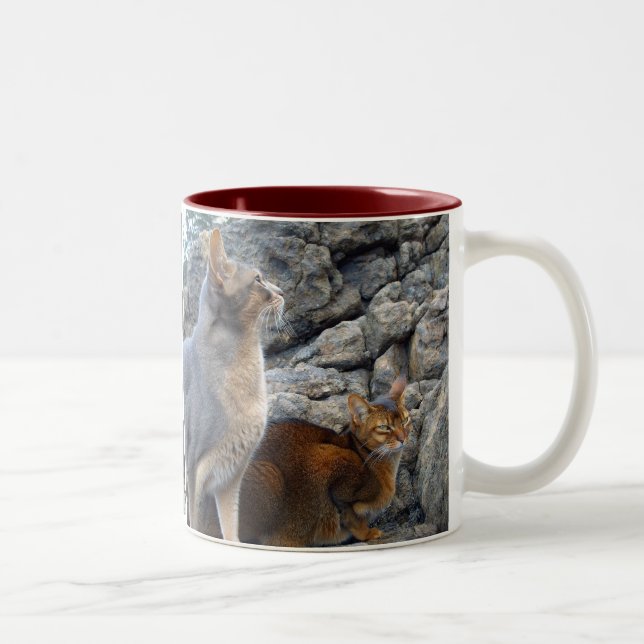 Caneca De Café Em Dois Tons Irmão e Irmã dos Gatos Abissinos (Direita)