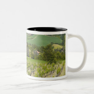 Caneca De Café Em Dois Tons Itália, Bolonha, Vista através da Vinha para Chies