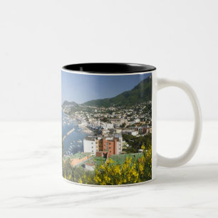 Caneca De Café Em Dois Tons ITÁLIA, Campânia (baía de Nápoles), ISCHIA, LACCO