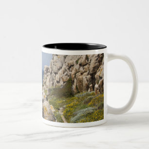 Caneca De Café Em Dois Tons Itália, Sardenha, Santa Teresa Gallura. Capo 2