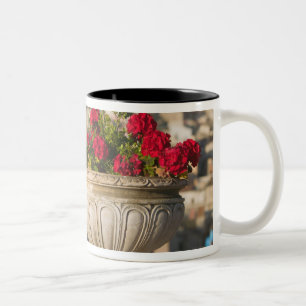 Caneca De Café Em Dois Tons Itália, Sicília, Termini Imerese, Vista e Flores