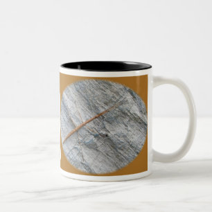 Caneca De Café Em Dois Tons Itens de Anel Comum (Diapheromera femorata)
