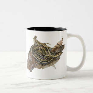 Caneca De Café Em Dois Tons Itens de Coordenação do Cobra de Jardim do Jovem