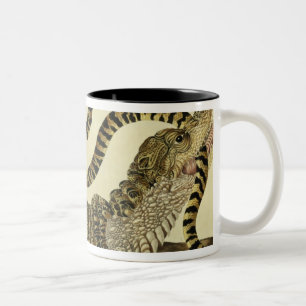 Caneca De Café Em Dois Tons Jacaré e cobra, 1730 (gravura colorida)