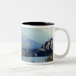 Caneca De Café Em Dois Tons Japão, Honshu, Pref. Yamanashi, Fuji-Hakone-Izu