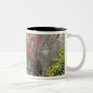 Caneca De Café Em Dois Tons Jardim da família Bao, Huangshan, China.