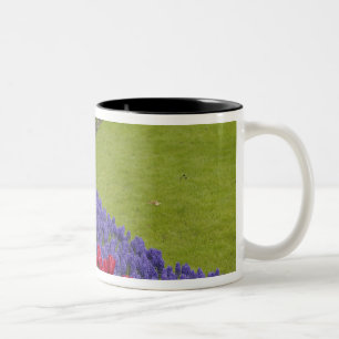 Caneca De Café Em Dois Tons jardim de Tulipa e Jacinto e narciso,