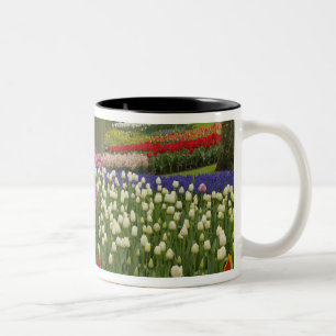 Caneca De Café Em Dois Tons Jardim de tulipas e jacintos, Jardins Keukenhof,