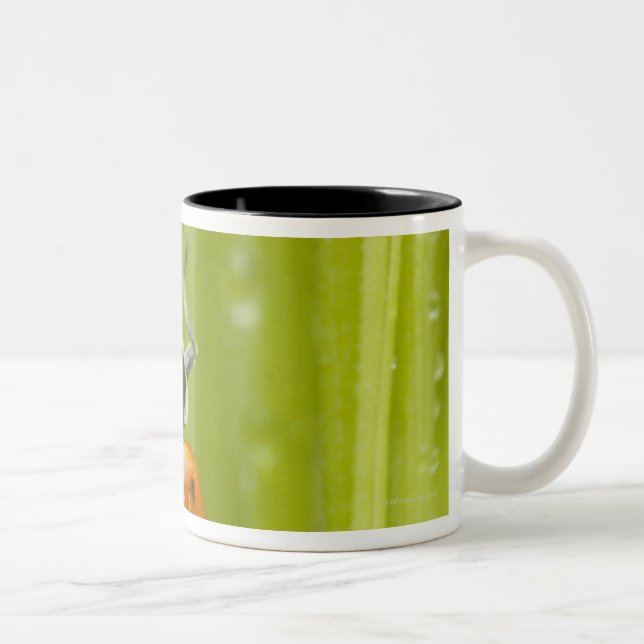 Caneca De Café Em Dois Tons Joaninha na grama, fim-acima (Direita)