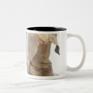Caneca De Café Em Dois Tons jogo, amigável, curiosidade
