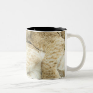 Caneca De Café Em Dois Tons Jogo de dois filhotes de leões