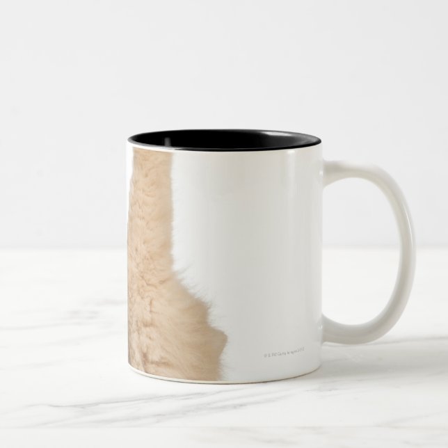 Caneca De Café Em Dois Tons Jogo do persa (3 anos velho) (Direita)