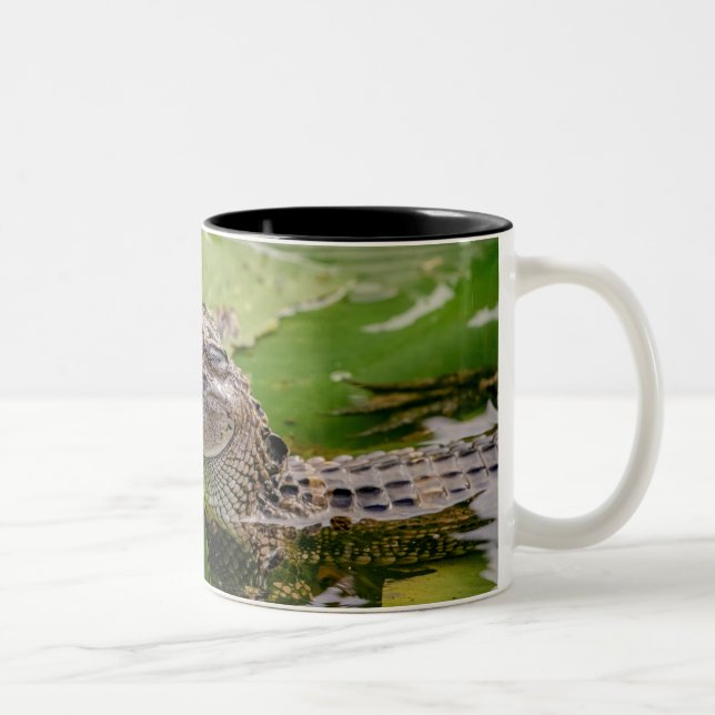 Caneca De Café Em Dois Tons Jovem Alligator (Direita)