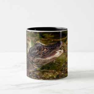 Caneca De Café Em Dois Tons Jovem Alligator