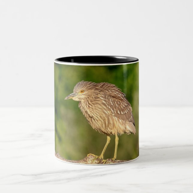 Caneca De Café Em Dois Tons Juvenile Black Crowned Night Heron (Centro)