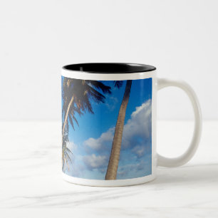 Caneca De Café Em Dois Tons La Samana Peninsula, República Dominicana,