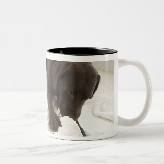 Caneca De Café Em Dois Tons Labrador castanho chocolate (Direita)