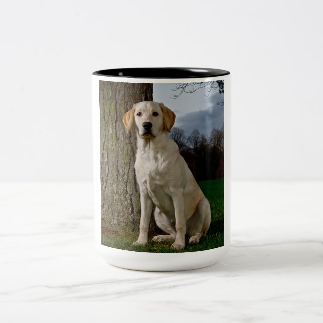 Caneca De Café Em Dois Tons Labrador Mug (Centro)