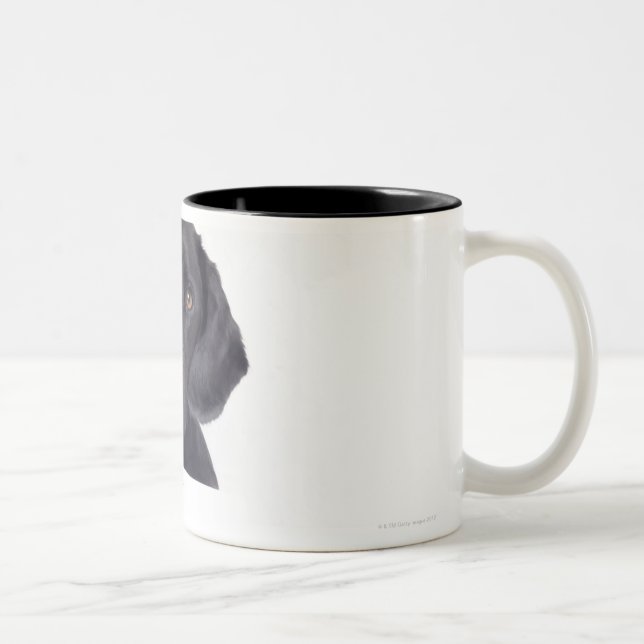 Caneca De Café Em Dois Tons Labrador preto 13 meses (Direita)