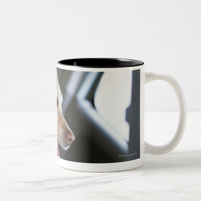 Caneca De Café Em Dois Tons Labrador retriever (Direita)