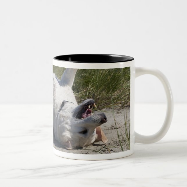 Caneca De Café Em Dois Tons Labrador retriever amarelo (Direita)