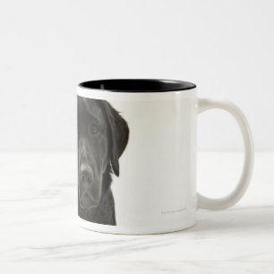 Caneca De Café Em Dois Tons Labrador retriever preto