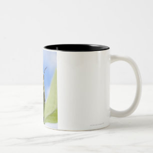 Caneca De Café Em Dois Tons Lagarta preta e amarela