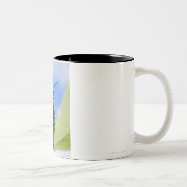Caneca De Café Em Dois Tons Lagarta preta e amarela (Direita)