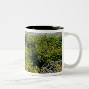 Caneca De Café Em Dois Tons LAGO BEAR, UT, EUA, flor-macaco & carrapicho,