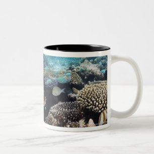 Caneca De Café Em Dois Tons Lagoa tropical no atol sul de Ari no