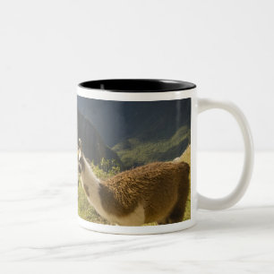 Caneca De Café Em Dois Tons Lamas e um olhar sobre Machu Picchu,