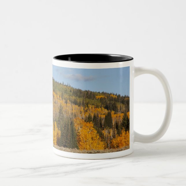 Caneca De Café Em Dois Tons Lambert Hollow, árvores de álamo (Direita)