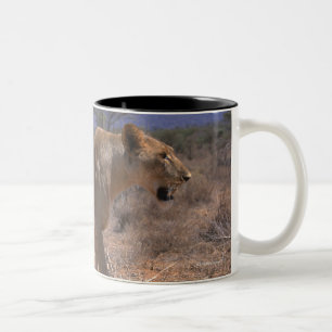 Caneca De Café Em Dois Tons Leão 3