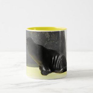 Caneca De Café Em Dois Tons Leão do mar sentado