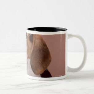 Caneca De Café Em Dois Tons Lebreiro