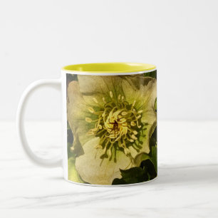 Caneca De Café Em Dois Tons Lenten Rosa Hellebore