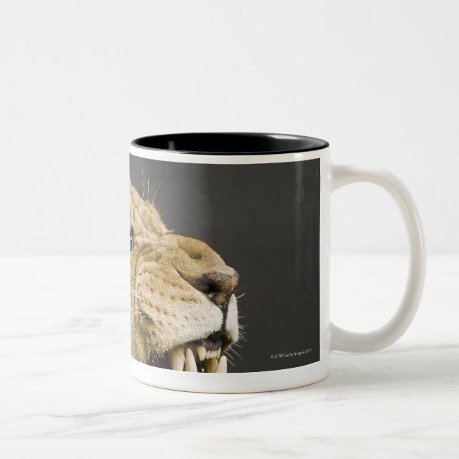 Caneca De Café Em Dois Tons Leoa que ruje 2 (Direita)