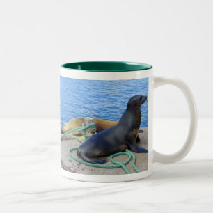 Caneca De Café Em Dois Tons Leões do Mar