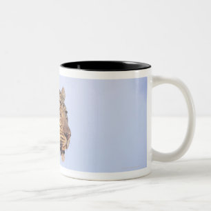 Caneca De Café Em Dois Tons Leopardo do homem adulto (pardus do Panthera),