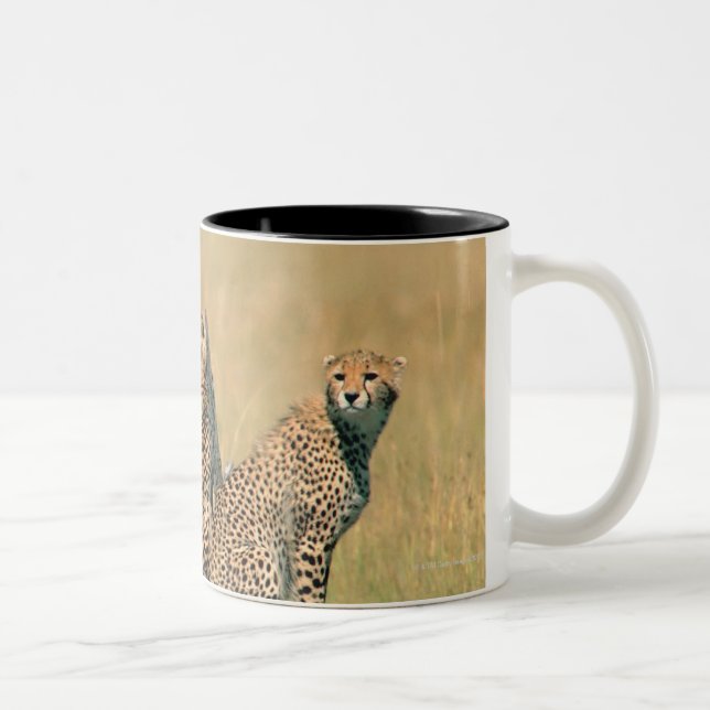 Caneca De Café Em Dois Tons Leopardos que olham afastado (Direita)