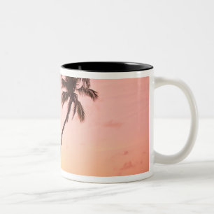 Caneca De Café Em Dois Tons Lewolin Village, Illi Api Island, Selat Boleng