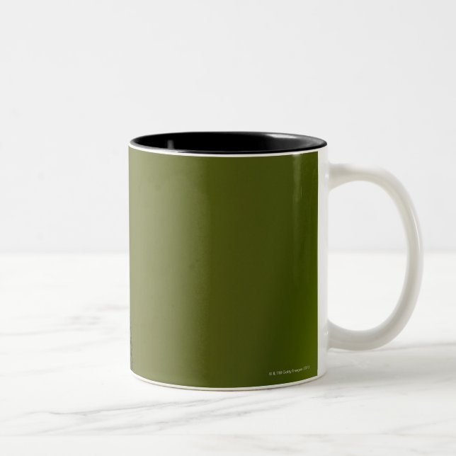 Caneca De Café Em Dois Tons Libélula na íris brotada (Direita)